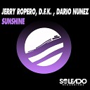 Jerry Ropero D F K Dario Nu ez - Sunshine