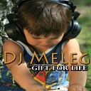 DJ Meleg - To Begin All Anew