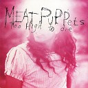Meat Puppets - Comin Down