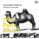 Ensemble Diderot Johannes Pramsohler - Sonata in D Major I Allegro
