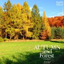 Nature Sound Band - Relaxing Music from Autumn Forest Best 3