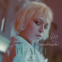 Nika feat. Seredinschi - Tu Auzi