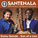 Santenala feat Samba Ndiaye feat Samba Ndiaye - Domou Gainde Son of a Lion