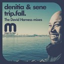 Sene Denitia - trip fall UnHarness Yoself Radio Mix