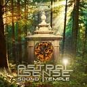 Astral Sense - Voice Inside