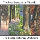 Bela Banfalvi feat Budapest String Orchestra - Concerto No 4 In F Minor RV 297 Winter Largo