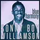 Sonny Boy Williamson II - Let Me Explain