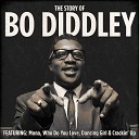 Bo Diddley - I Am Looking for a Woman