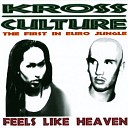 Kross Culture - Feels Like Heaven Radio Edit