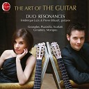 Duo R sonances - Keyboard Sonata in D Minor Kk 9 Arr for 2 Guitars by Fr d rique Luzy and Pierre…