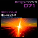 Shaun Ansari - Feeling Good DJ Ned B Remix