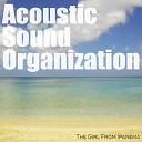 Acoustic Sound Organization - The Girl From Ipanema