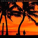Acoustic Sound Organization - Under the Jamaican Moon