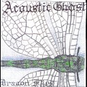 Acoustic Ghost - Ghost of A King