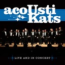 Acoustikats - The Lion Sleeps Tonight Live