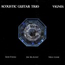 Acoustic Guitar Trio Nels Cline Jim Mcauley Rod… - Vignes 1