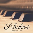 Giovanni Umberto Battel - Piano Sonata No 14 in A Minor Op Posth 143 D 784 I Allegro…