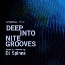 DJ Spinna - Deep Into Nite Grooves Continuous DJ Mix