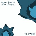 Ingredientus - Vision Original Mix