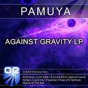 Pamuya - Antarctica Original Mix