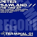 Peter Sawland - The Time Original Mix