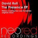David Rull - Wishes Coming True Original Mix