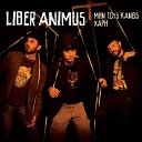 Liber Animus - I Was the One