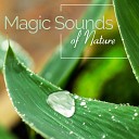 Close to Nature Music Ensemble - Peaceful Dreams Waves