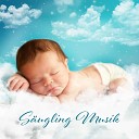 Baby Schlafmusik Akademie - Baby Schlaftherapie