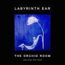 Labyrinth Ear - Amber