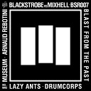 Black Strobe Mixhell - Blast from the Past Museum Remix
