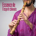 Ensemble de Musique Zen Relaxante - Ouvrir les chakras