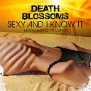 Death Blossoms - Sexy And I Know It Instrumental