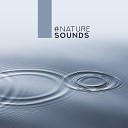 Relaxing Nature Sounds Collection Rest Relax Nature Sounds… - Sad Piano
