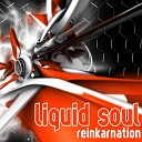 Liquid Soul - Colours
