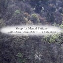 Mindfulness Slow Life Selection - Voice Self Control Original Mix