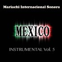 Mariachi Internacional Sonora - Pobre de Mi
