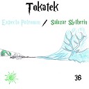 Tokatek - Salazar Slytherin