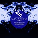 Pulse Plant - Fabric Rich Bauer Remix