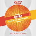 Tibiza - About The Differences Hory Doly Remix