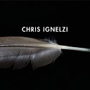 Chris Ignelzi - Fallen Rock