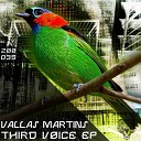 Vallas Martins - Third Voice Dub Mix