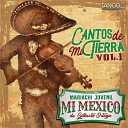 Mariachi Juvenil Mi Mexico - Viol n Huapango