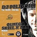 DJ Piligrim - Ты Меня Забудь Olmega SKILL x ZAN…