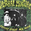 The Groundhogs Herbal Mixture - Tailor Made single B side 1966