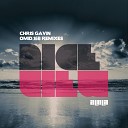 Chris Gavin - Nice View Omid 16B Remix