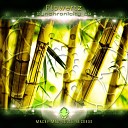 Flowertz - Synchronicity Original Track