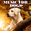 Dog Music - Music for Dog Anxiety
