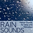 Nature Sounds for Sleep and Relaxation - Sound Waves