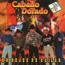 Caballo Dorado - San Miguelito